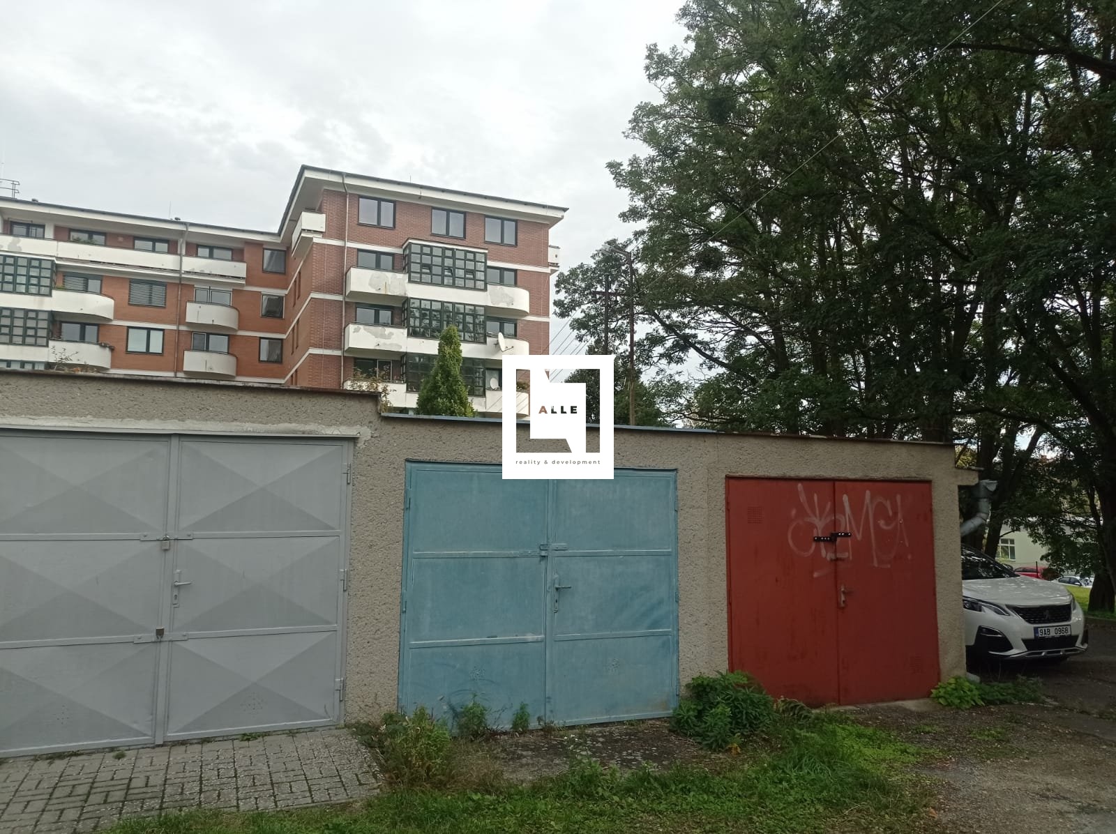 IMG-20241010-WA0003